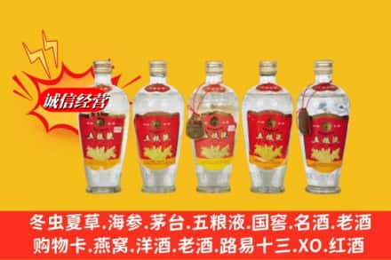 鸡西市鸡东回收老五粮液