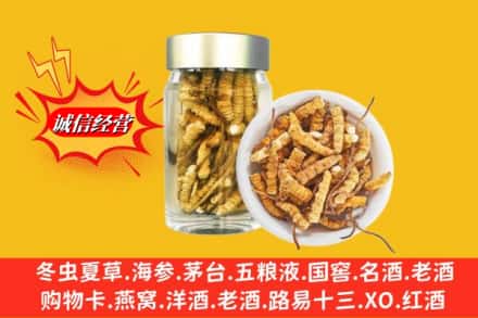 鸡西市鸡东名酒回收散虫草.jpg