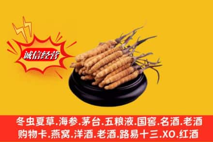 鸡西市鸡东名酒回收冬虫夏草.jpg